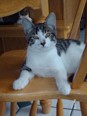 <img300*0:http://elftown.heddate.com/img/photo/184912_1200538637.jpg>