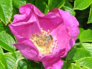 <img300*0:http://elftown.heddate.com/img/photo/19018_1189286861.jpg>