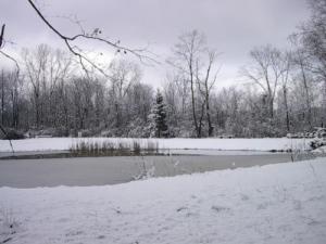 <img300*0:http://elftown.heddate.com/img/photo/19254_1109807444.jpg>