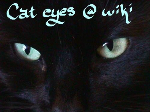 <img:http://elftown.heddate.com/img/photo/21398_1097978330.jpg>