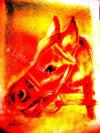 <img100*0:http://elftown.heddate.com/img/photo/21398_1142828030.jpg>