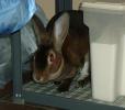 <img0*100:img/photo/22011_1111365132.jpg>