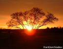 <img0*100:img/photo/22011_1113523312.jpg>