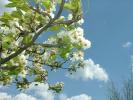 <img0*100:img/photo/22011_1117499262.jpg>