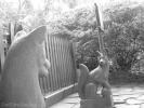 <img0*100:img/photo/22011_1122081588.jpg>