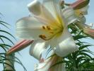 <img0*100:img/photo/22011_1125036488.jpg>