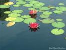 <img0*100:img/photo/22011_1125557133.jpg>