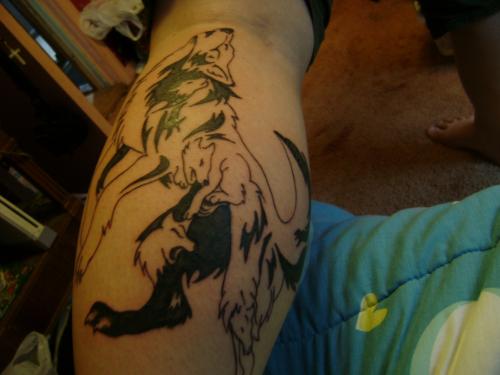 photo