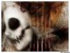 <img100*0:http://elftown.heddate.com/img/photo/25524_1100836189.jpg>