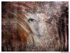 <img100*0:http://elftown.heddate.com/img/photo/25524_1100837195.jpg>
