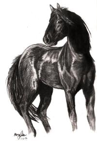 <img200*0:http://elftown.heddate.com/img/photo/27071_1155068876.jpg>