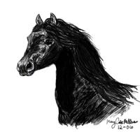 <img200*0:http://elftown.heddate.com/img/photo/27071_1168563617.jpg>