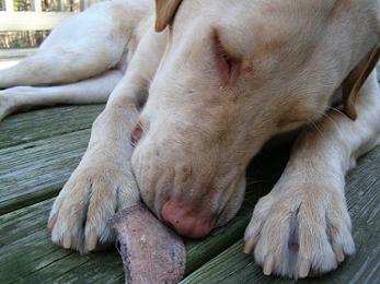 <img:http://elftown.heddate.com/img/photo/28725_1114914293.jpg>