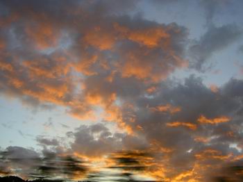 <img:http://elftown.heddate.com/img/photo/30079_1121199078.jpg>