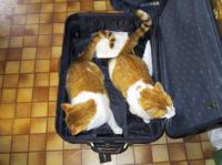 <img200*0:http://elftown.heddate.com/img/photo/32132_1140904557.jpg>