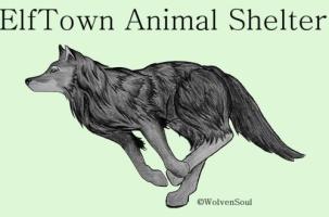 <img:http://elftown.heddate.com/img/photo/32787_1103736142.jpg?y=200>