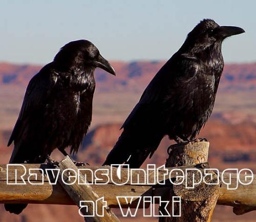 <img:http://elftown.heddate.com/img/photo/35840_1081193716.jpg>
