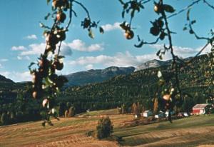<img300*0:http://elftown.heddate.com/img/photo/37082_1110228483.jpg>