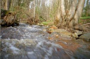 <img300*0:http://elftown.heddate.com/img/photo/37082_1110228705.jpg>