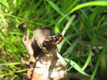 <img350*0:http://elftown.heddate.com/img/photo/37868_1210673914.jpg>