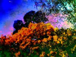 <img300*0:http://elftown.heddate.com/img/photo/37982_1080350368.jpg>