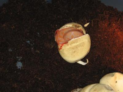 <img400*0:http://elftown.heddate.com/img/photo/40466_1177359812.jpg>