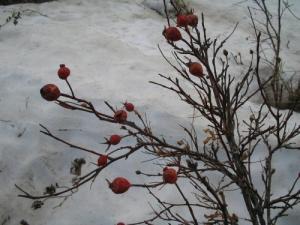 <img300*0:http://elftown.heddate.com/img/photo/43221_1110624643.jpg>