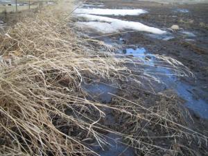<img300*0:http://elftown.heddate.com/img/photo/43221_1110627150.jpg>