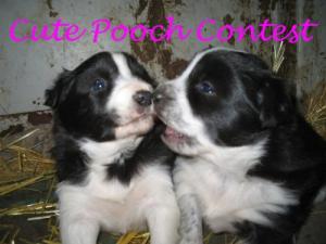 <img300*0:http://elftown.heddate.com/img/photo/43221_1110737278.jpg>