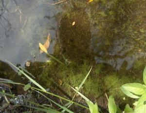 <img300*0:http://elftown.heddate.com/img/photo/43221_1151087268.jpg>