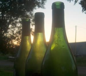 <img300*0:http://elftown.heddate.com/img/photo/43221_1151724912.jpg>