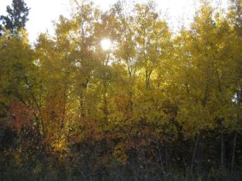 <img350*0:http://elftown.heddate.com/img/photo/43221_1159482543.jpg>