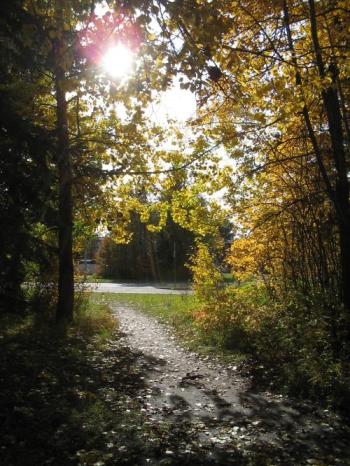 <img350*0:http://elftown.heddate.com/img/photo/43221_1159508970.jpg>