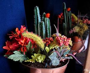 <img300*0:http://elftown.heddate.com/img/photo/43221_1163478868.jpg>