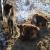 <img50*50:http://elftown.heddate.com/img/photo/43221_1172963639.jpg>