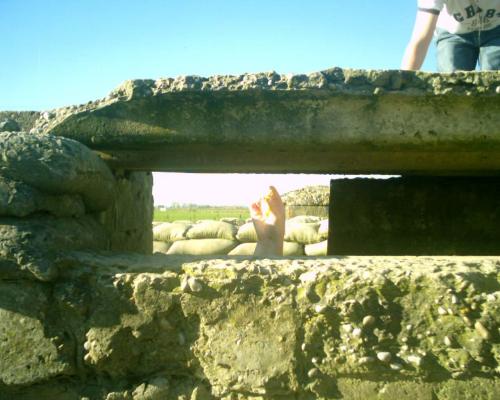 <img:http://elftown.heddate.com/img/photo/44884_1132329023.jpg>