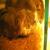 <img50*50:http://elftown.heddate.com/img/photo/44884_1161680861.jpg>