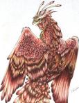 <img0*150:http://elftown.heddate.com/img/photo/46497_1212218595.jpg>