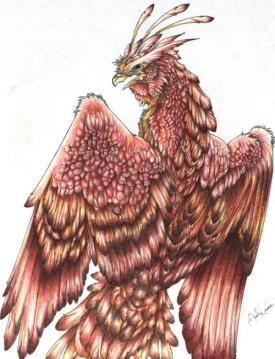 <img275*0:http://elftown.heddate.com/img/photo/46497_1212218595.jpg>