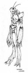 <img100*0:http://elftown.heddate.com/img/photo/48479_1089909640.jpg>