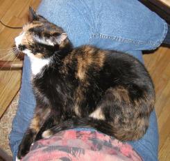 <img245*0:http://elftown.heddate.com/img/photo/49339_1085459955.jpg>