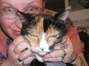 <img310*0:http://elftown.heddate.com/img/photo/49339_1085460770.jpg>