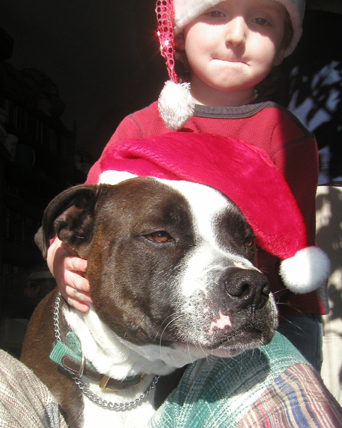 <img:http://elftown.heddate.com/img/photo/49339_1104093840.jpg>