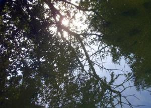 <img300*0:http://elftown.heddate.com/img/photo/49360_1127165426.jpg>