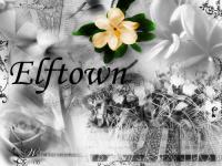 <img200*0:http://elftown.heddate.com/img/photo/50131_1112033951.jpg>