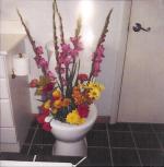 <img150*0:http://elftown.heddate.com/img/photo/50419_1097514391.jpg>