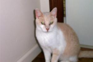 <img300*0:http://elftown.heddate.com/img/photo/51512_1091151296.jpg>