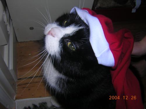 <img:http://elftown.heddate.com/img/photo/57274_1104339607.jpg>