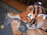 <img200*0:http://elftown.heddate.com/img/photo/57274_1131754544.jpg>