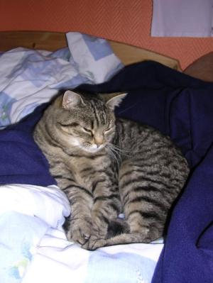 <img300*0:http://elftown.heddate.com/img/photo/58903_1095173539.jpg>